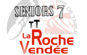 D4-6 : Roche Vendée7 / Mouilleron le C.