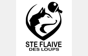 D4-7 : Ste Flaive des Loups / Roche Vendée8