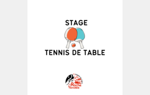 Stage Jeunes licenciés Tennis de Table (ouvert 