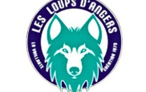 PN : Angers Les Loups / Roche Vendée 1