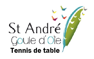 D4-13 : St André G. O. 3 / Roche Vendée 9