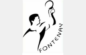 D3-1 : Fontenay 4 / Roche Vendée 6
