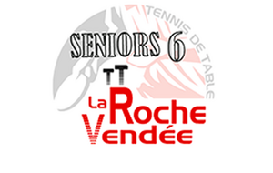 Equipe Seniors Roche Vendée 6 (D3-2)