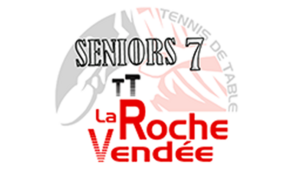 Equipe Seniors Roche Vendée 7 (D4-6)