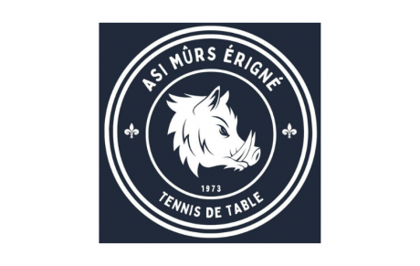 Murs Erigné
